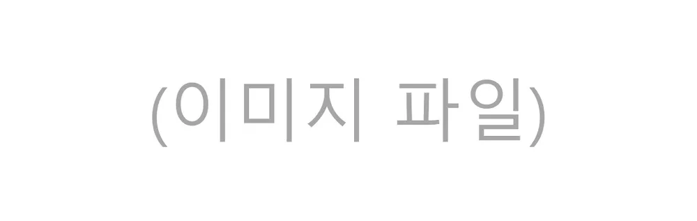 파일:이미지 파일.png